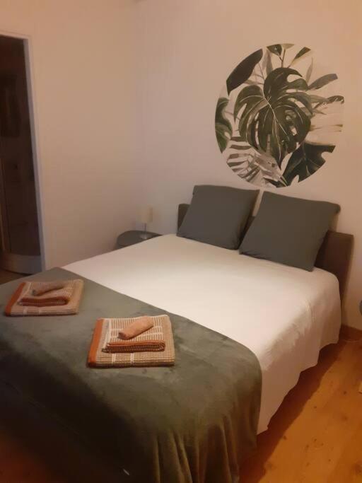 Hypercentre Apartamento